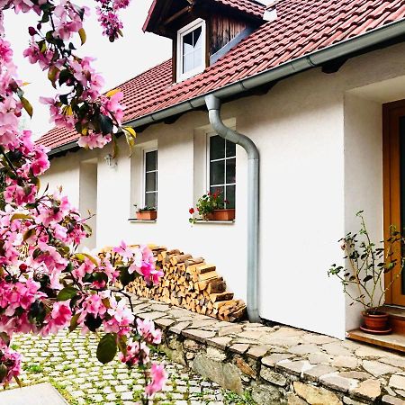 Apartmany Jílovice Εξωτερικό φωτογραφία